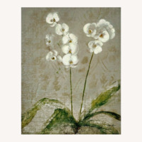 Pier 1 Imports Wall Art