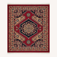 Red Area Rug 7.9' x 11.2'