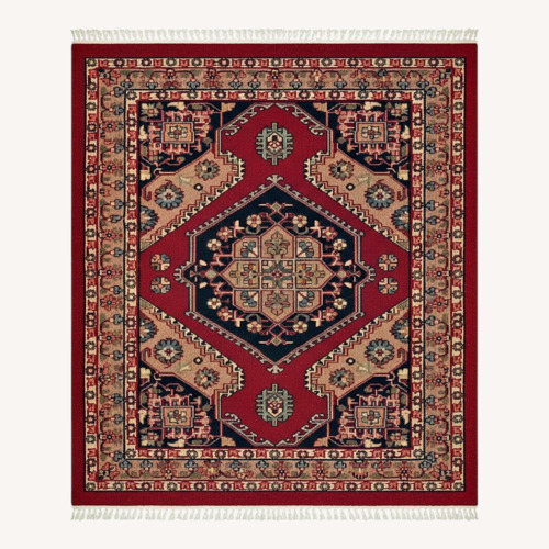 Used Red Area Rug 7.9' x 11.2' for sale on AptDeco