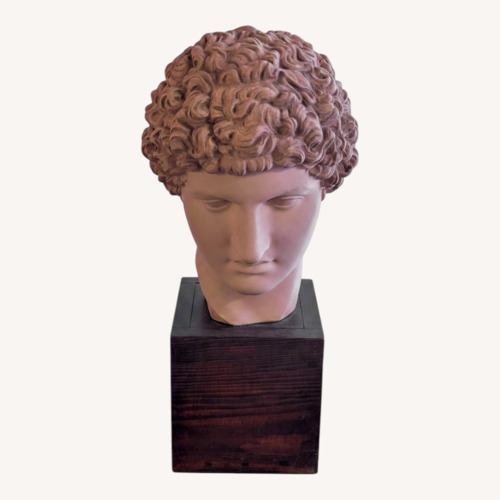 Used Vintage Terracotta Bust for sale on AptDeco