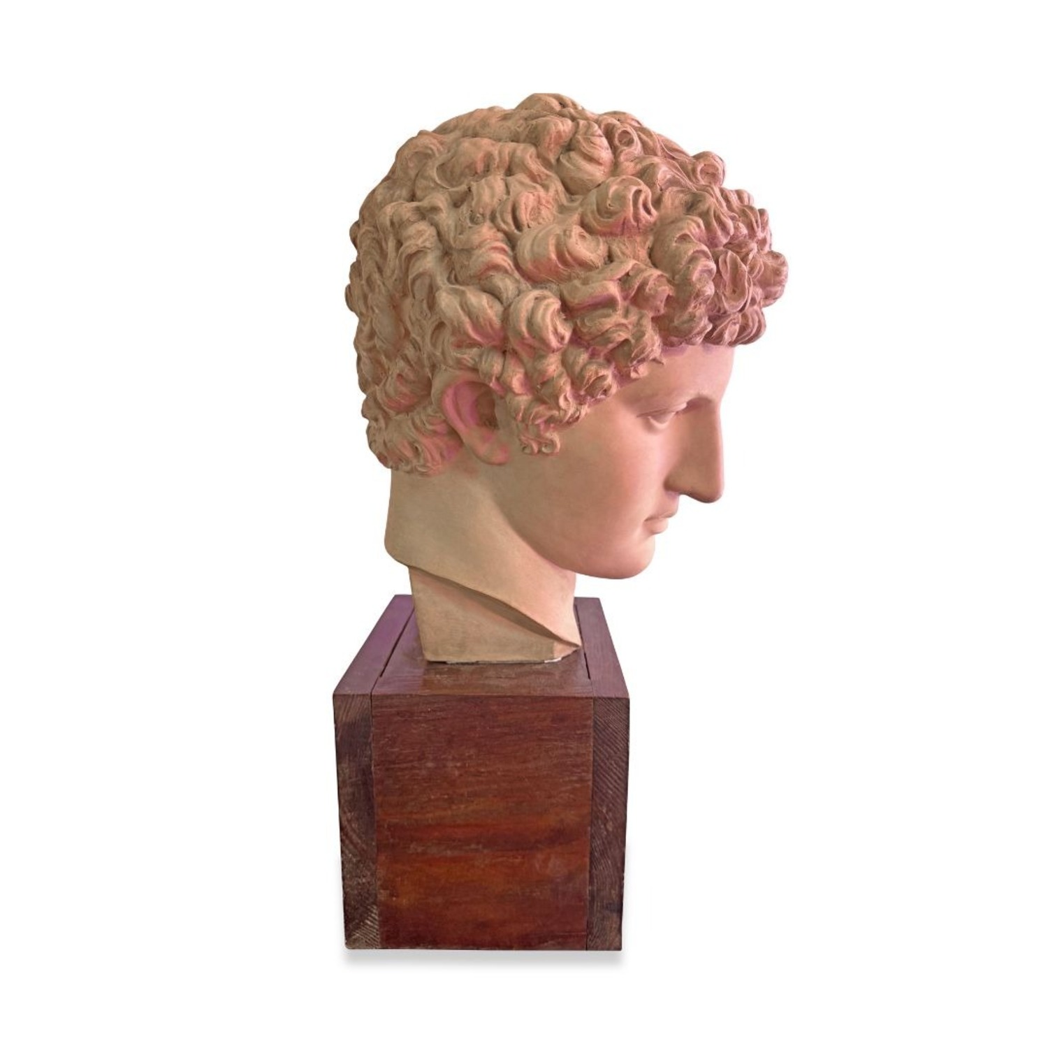 Vintage Terracotta Bust - image-3