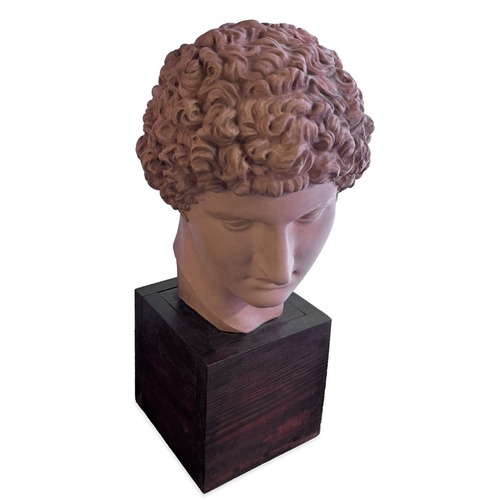 Used Vintage Terracotta Bust for sale on AptDeco