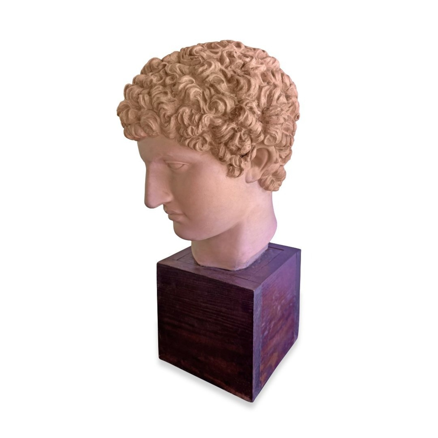 Vintage Terracotta Bust - image-5