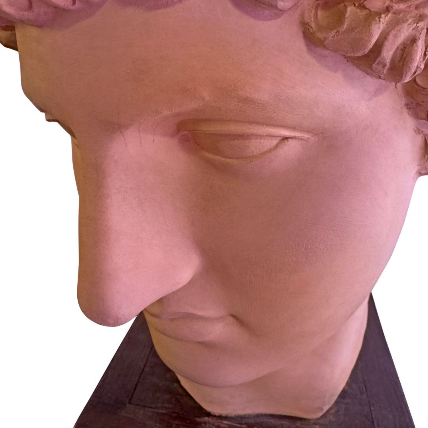 Vintage Terracotta Bust - image-6