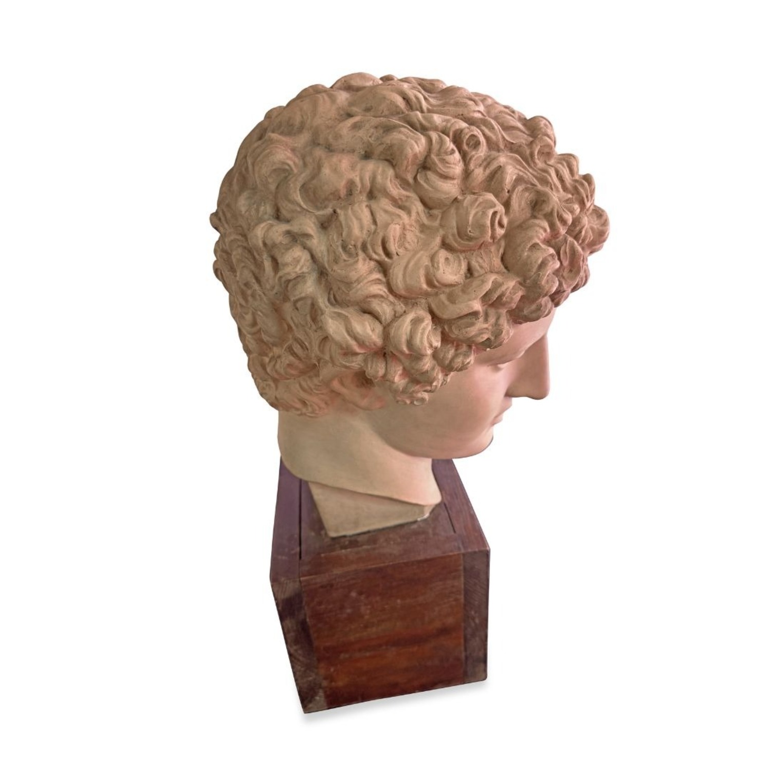 Vintage Terracotta Bust - image-2