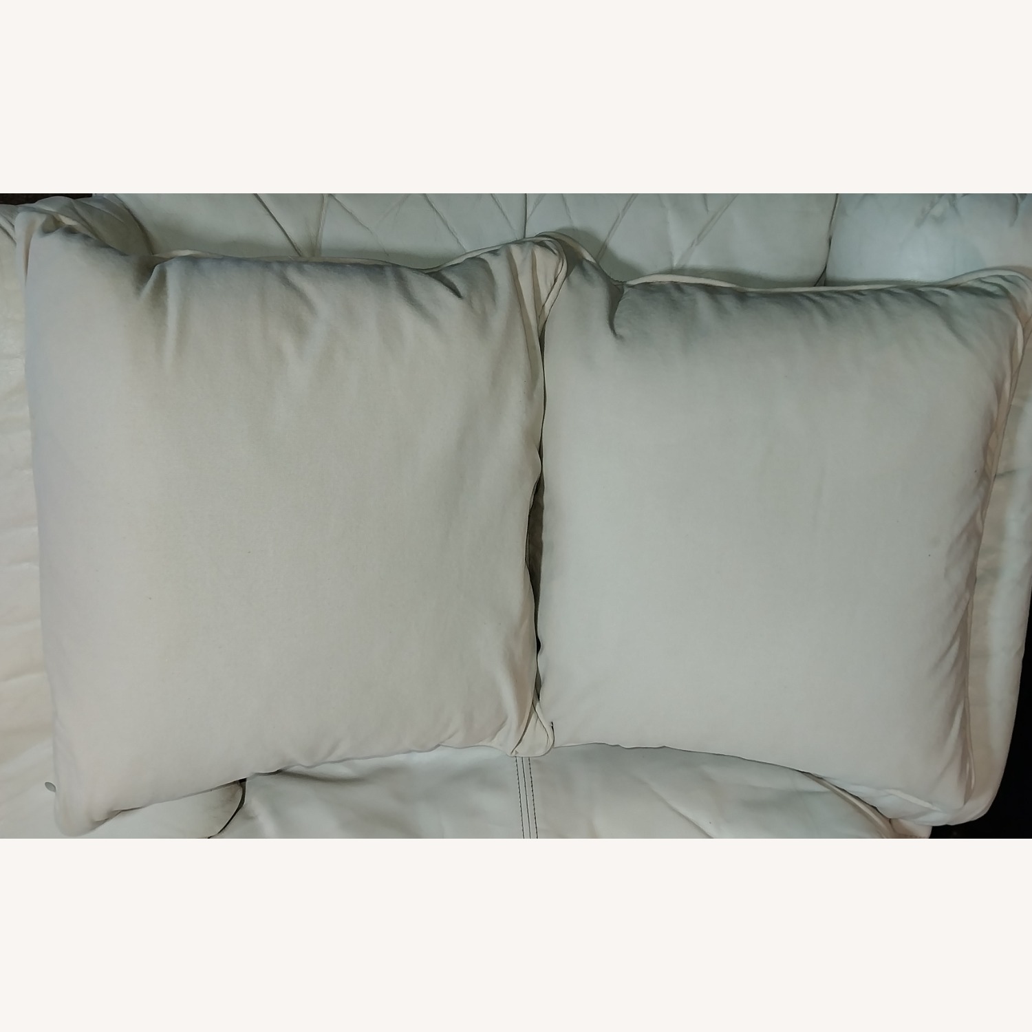 Set of 2 Pottery Barn Pillows  - image-8