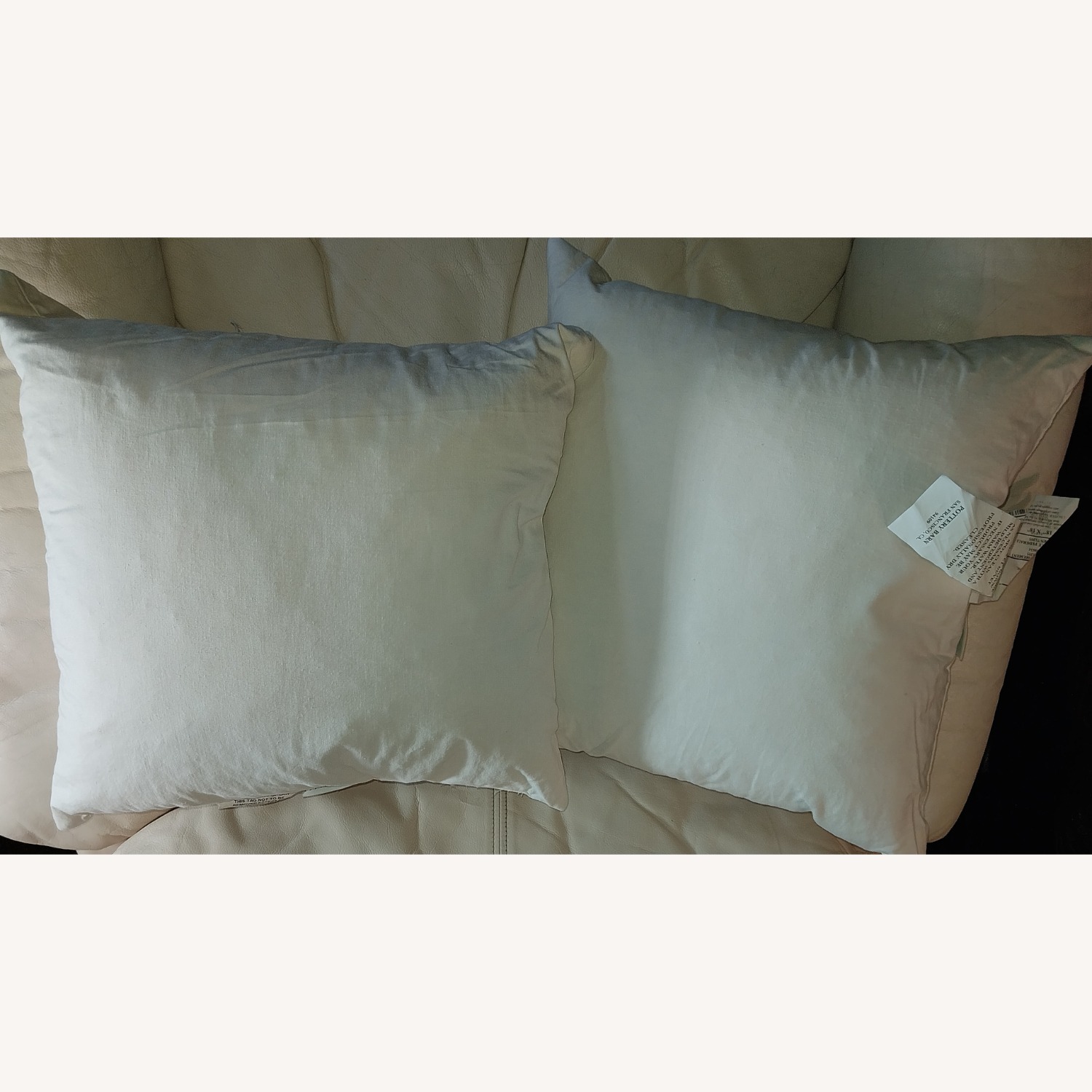 Set of 2 Pottery Barn Pillows  - image-5