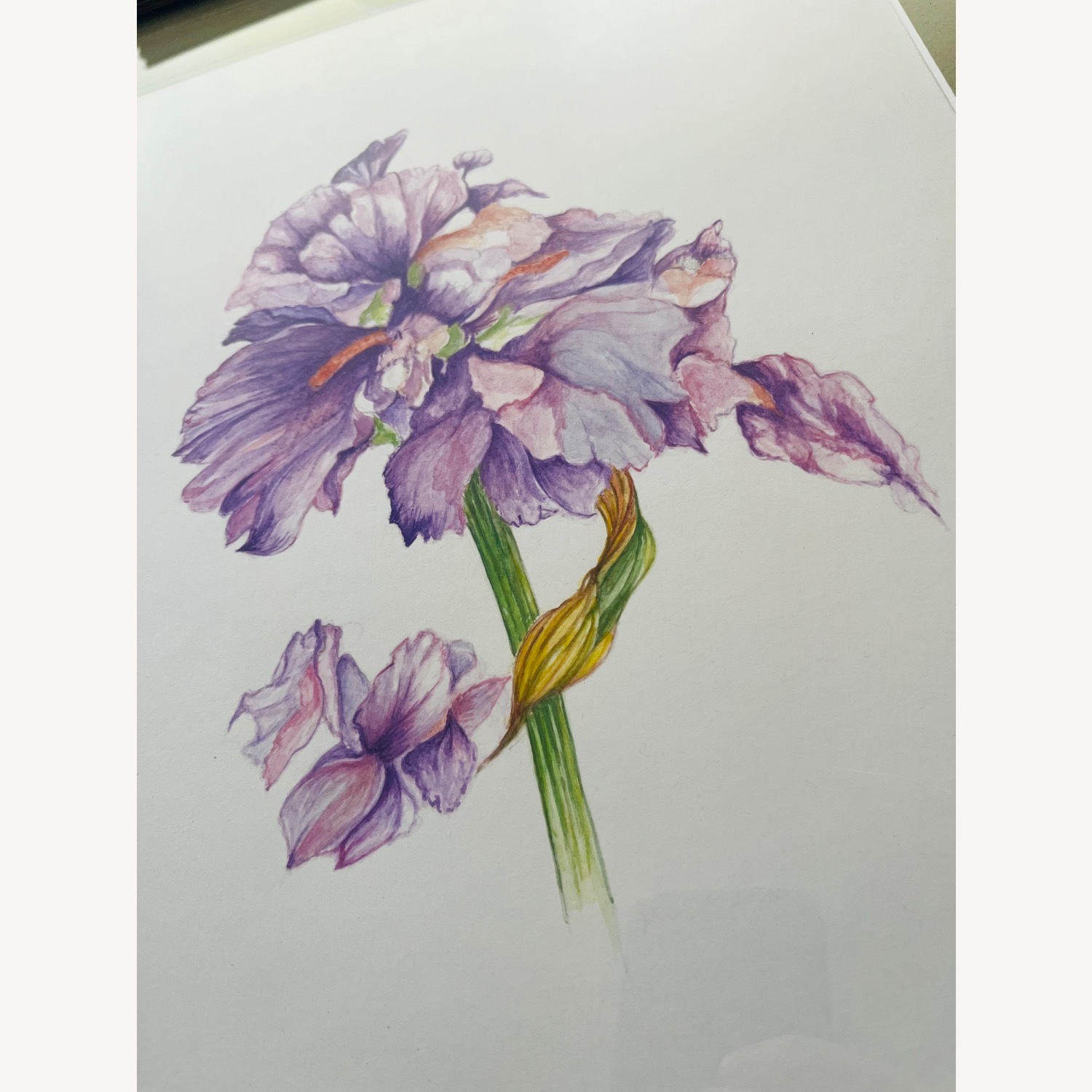 Botanic Watercolor Painting Purple Iris Signed - image-3