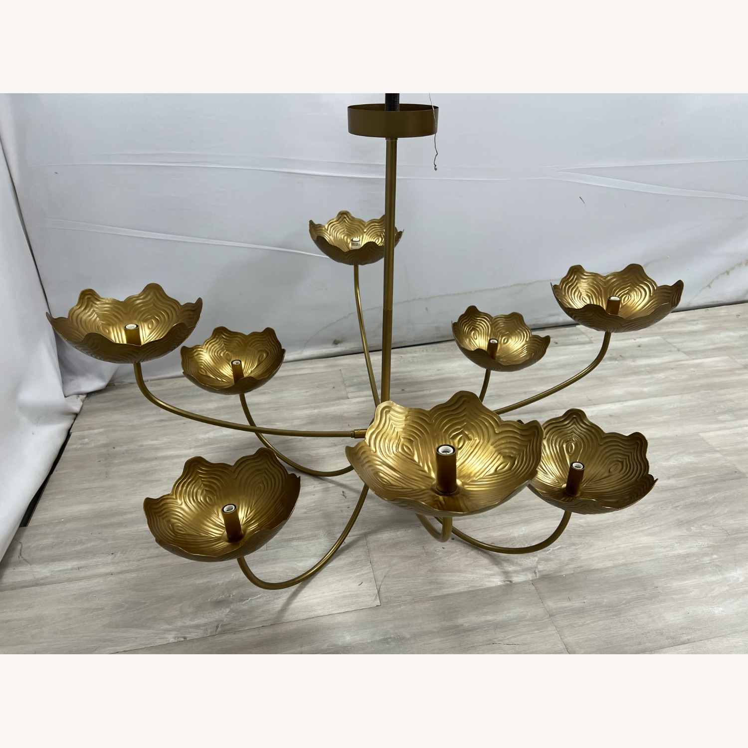 Arteriors Encinitas Chandelier - image-6