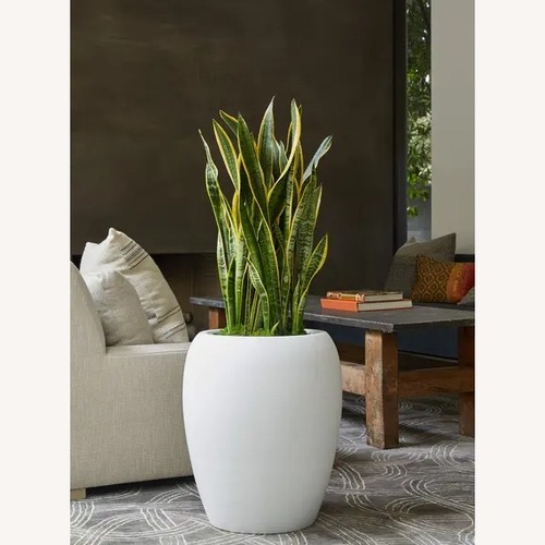 Used Leon & George White Planter Pot for sale on AptDeco