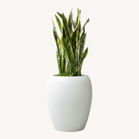 Leon & George White Planter Pot