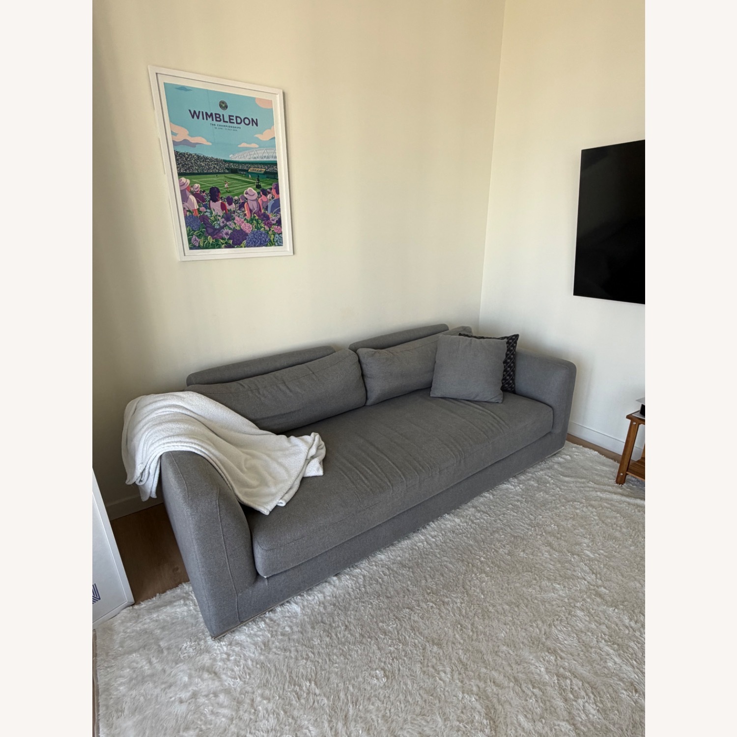 Rove Concepts Milo Sleeper Sofa - image-2