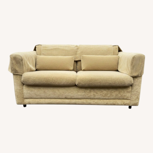 Used Vintage Sleeper Loveseat Sofa for sale on AptDeco
