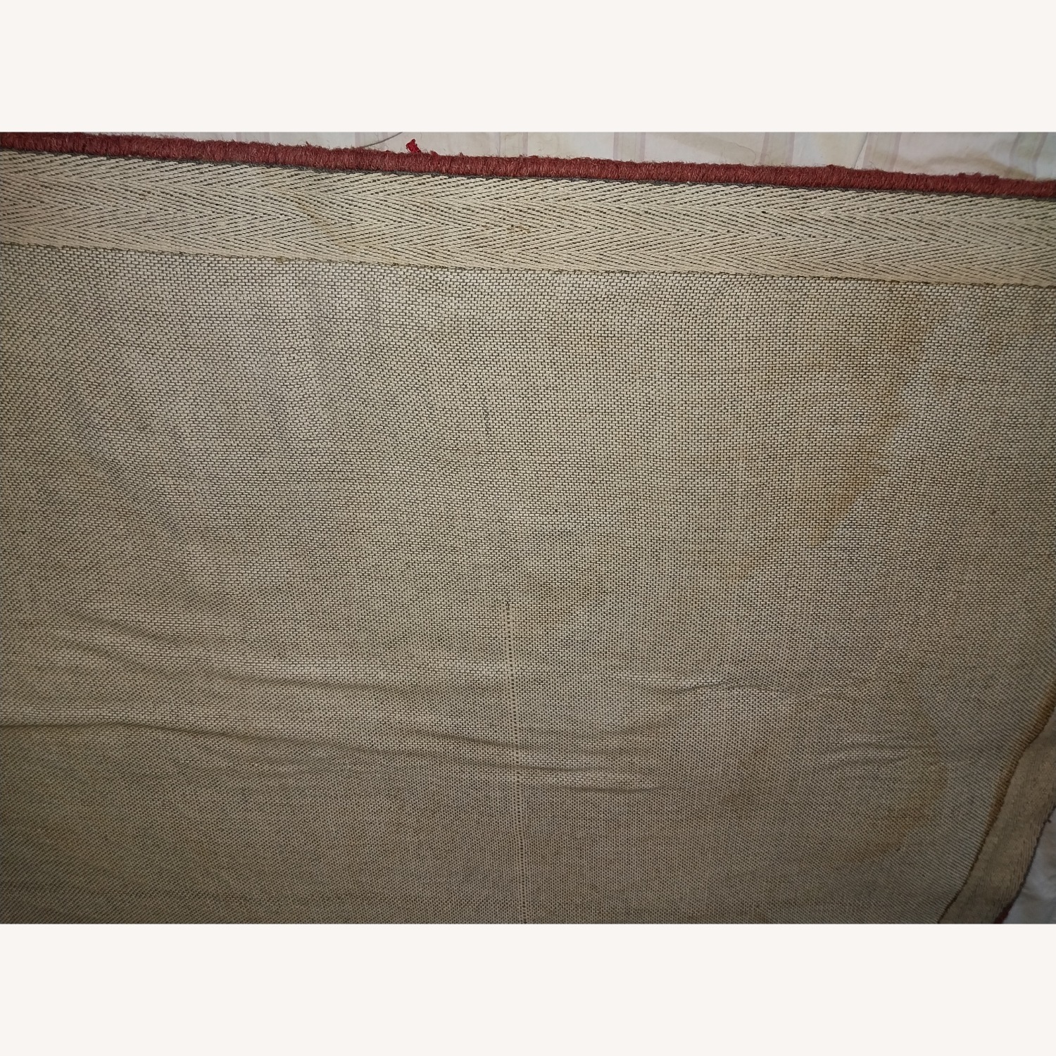 Safavieh Area Rug 3.5' x 5.5' - image-10