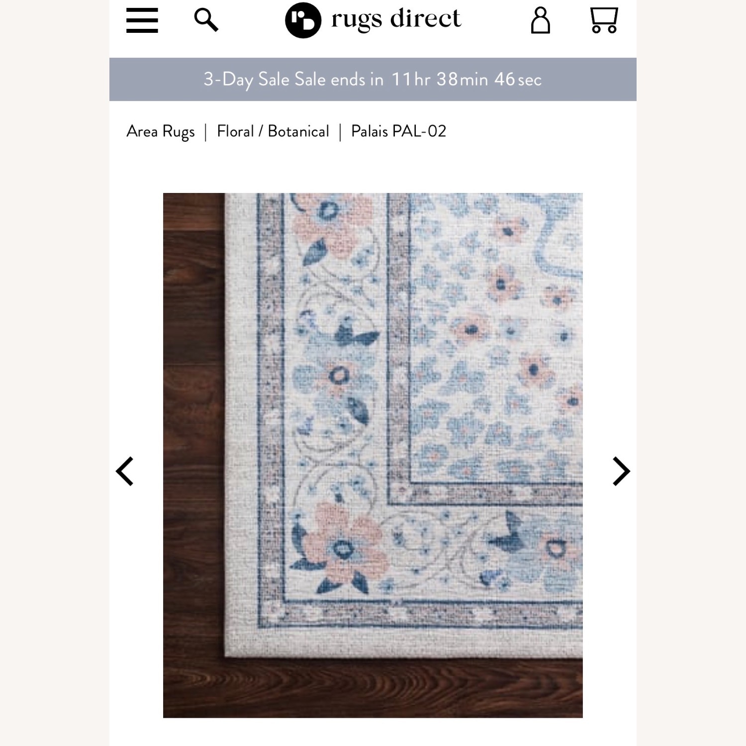 Light Blue 8x10 Area Rug - image-4