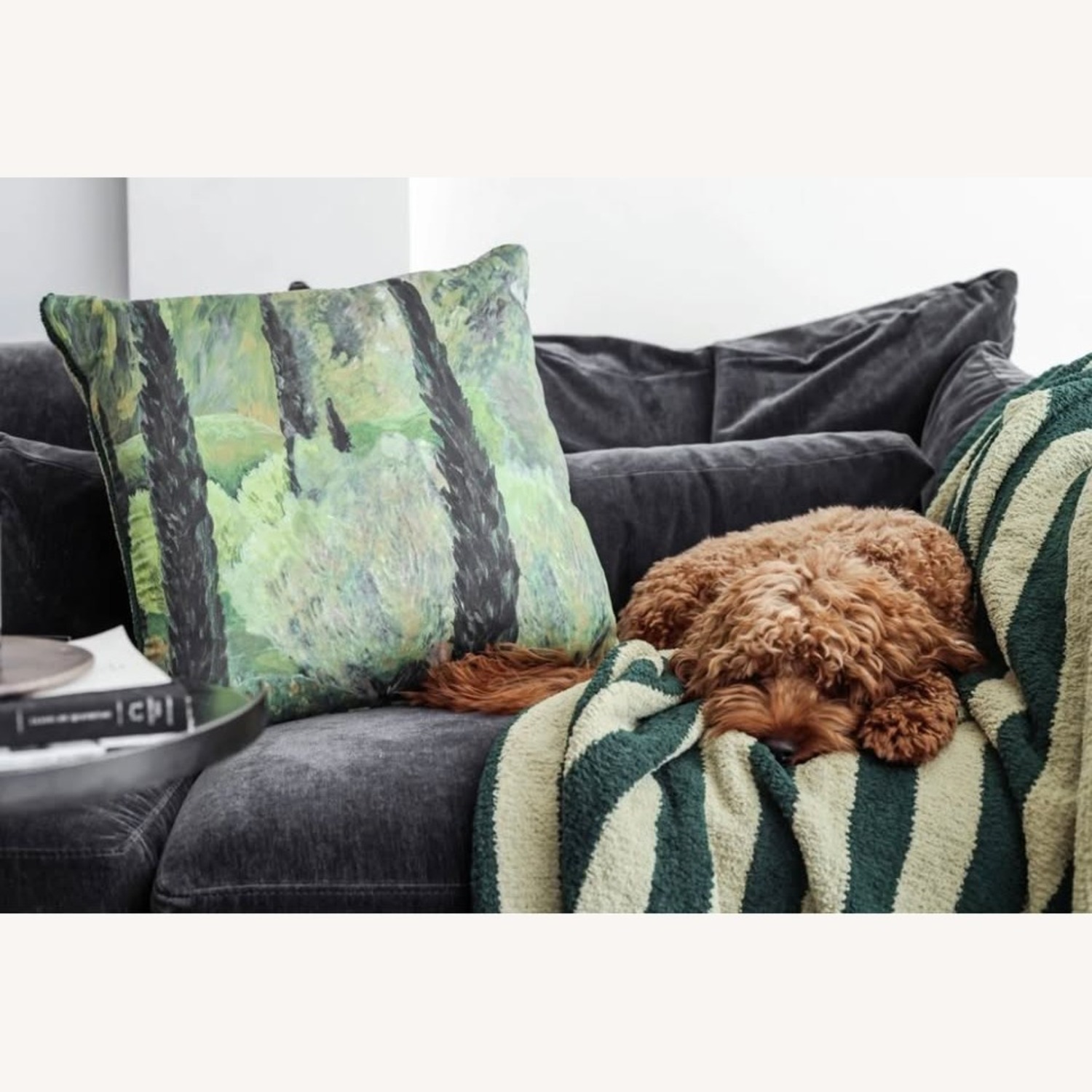 2 Sunday Citizen x ALEPEL Throw Pillows, 20"x20" - image-6