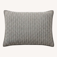 Pottery Barn Pillow Trio