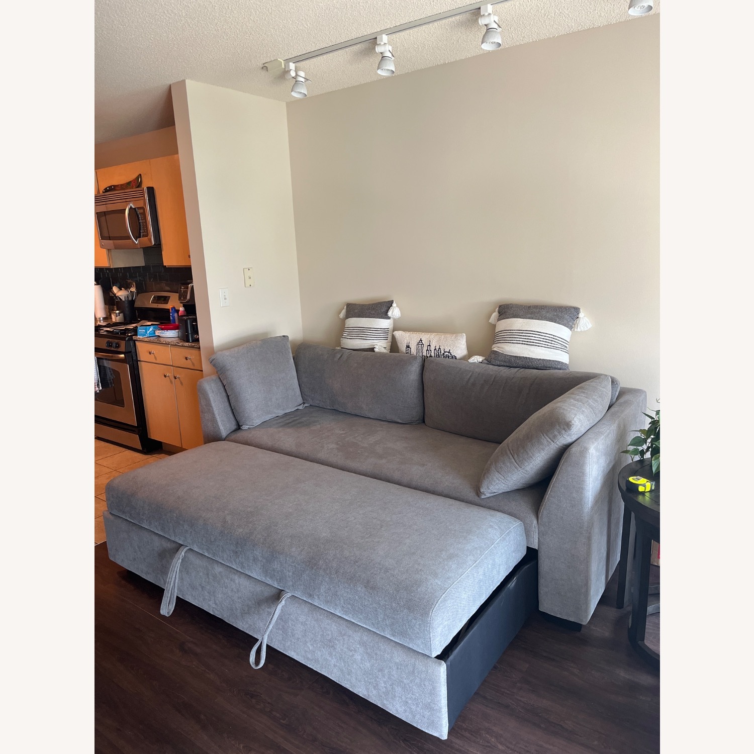 Light Gray Sleeper Sofa - image-2