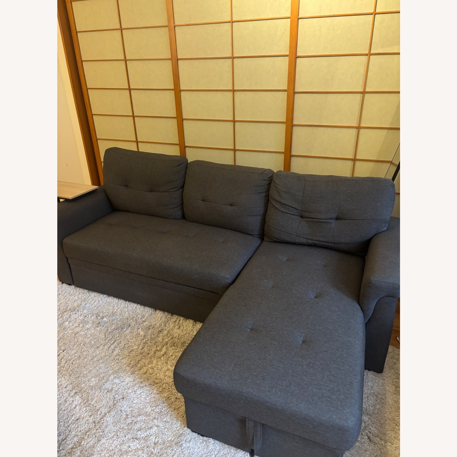 Sectional Sofa W Pull-out Bed & Storage - image-4