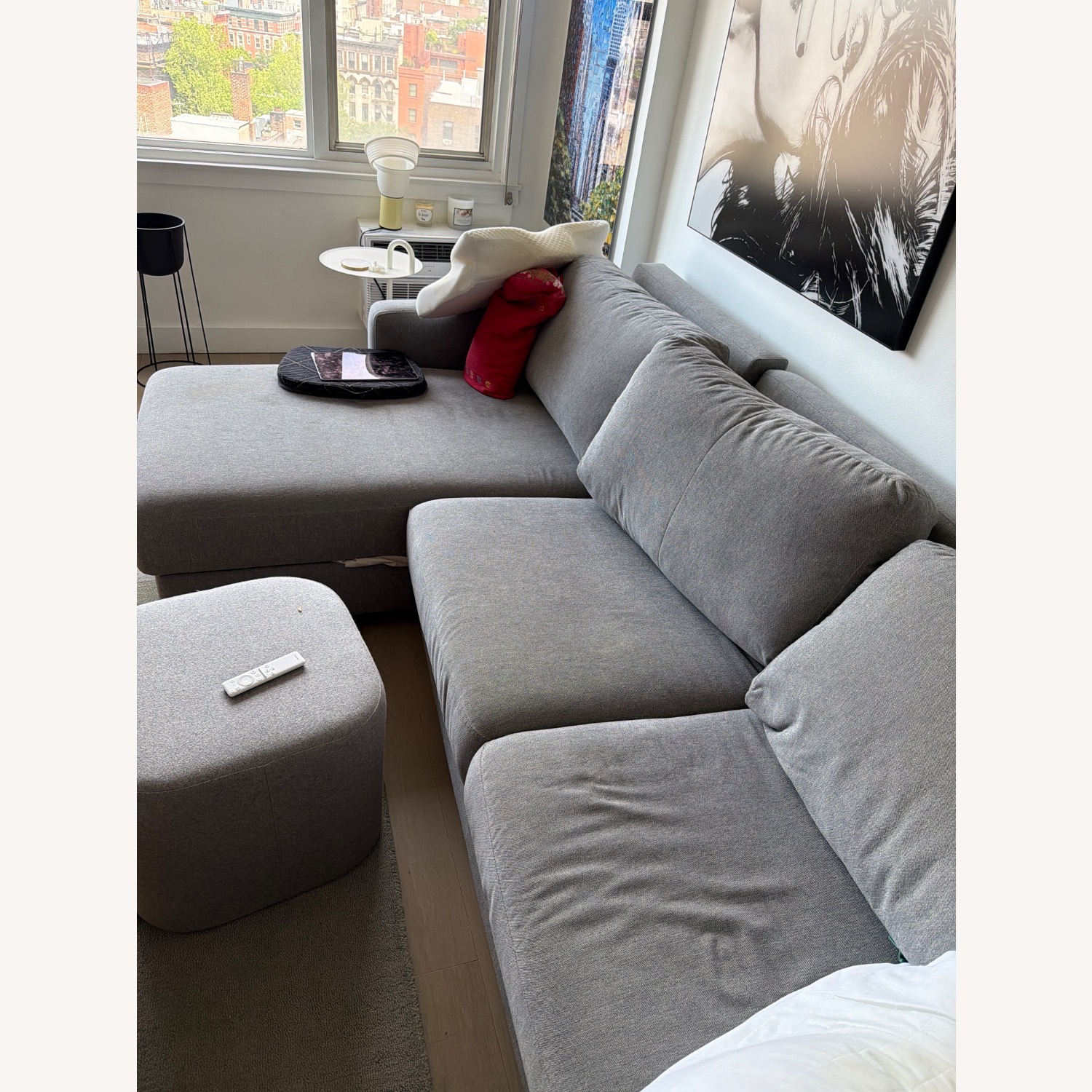 Luonto Light Gray Fabric Sleeper Sofa Queen - image-2