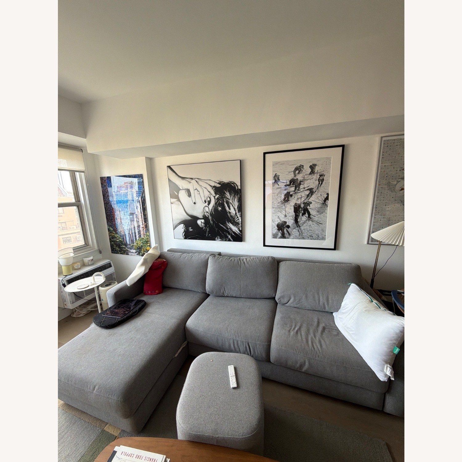 Luonto Light Gray Fabric Sleeper Sofa Queen - image-3