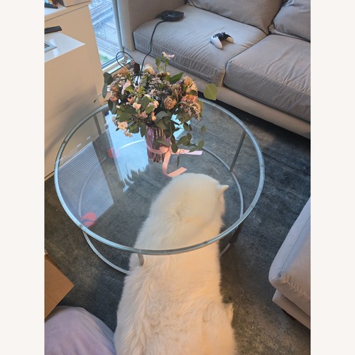 Used Room & Board Tyne Glass Coffee Table for sale on AptDeco