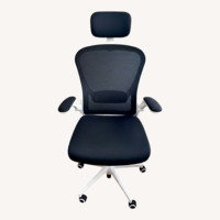 Ergonomic Desk Chair
