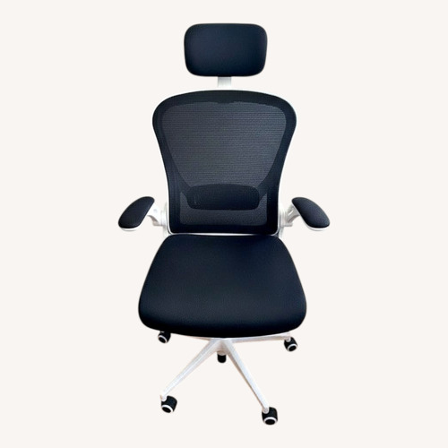 Used Ergonomic Desk Chair for sale on AptDeco