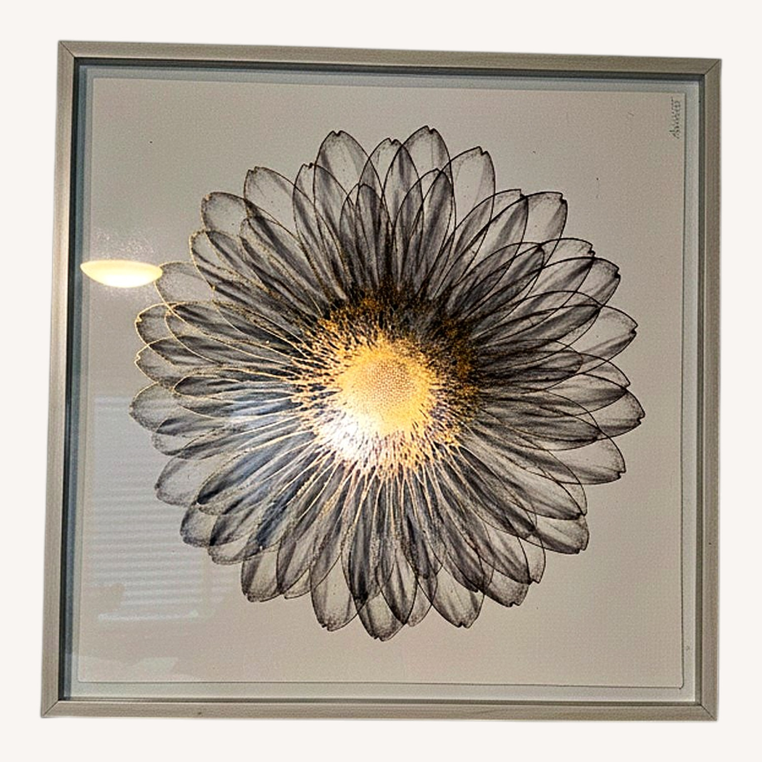 White/Gold Flower Wall Art - image-0