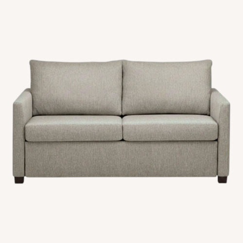 Used Room & Board Sofa Bed for sale on AptDeco