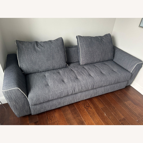 Used Roche Bobois Renatonisi Sleeper Sofa for sale on AptDeco
