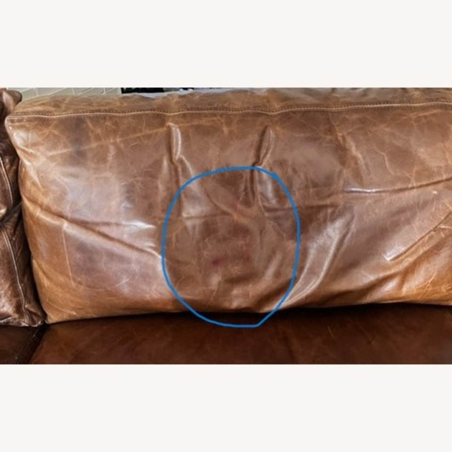 Maxwell Leather Two-Cushion Sofa - Luxe Depth - image-7