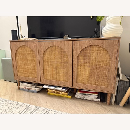Used Wood TV Stand With Bamboo Screen Door for sale on AptDeco