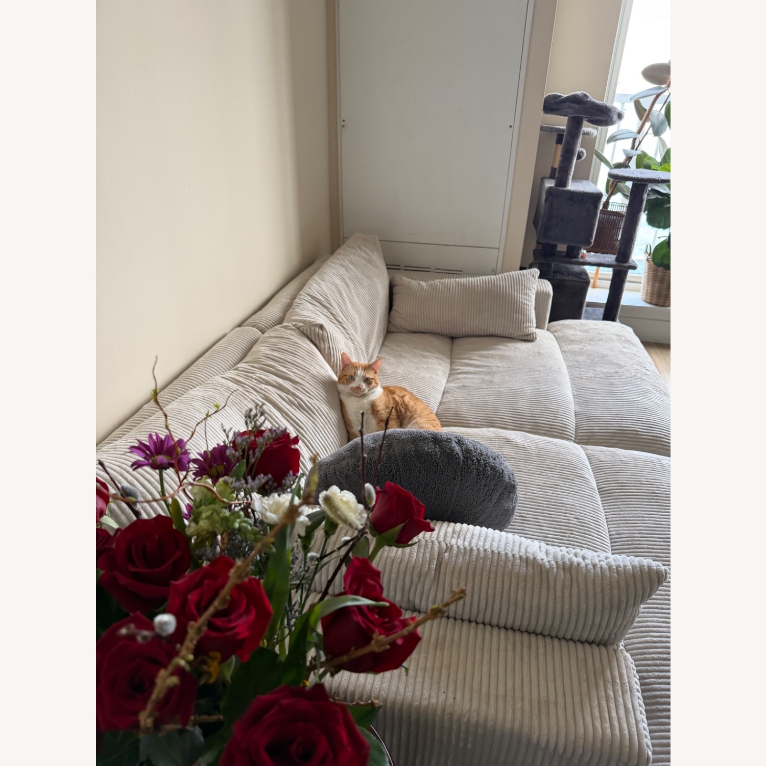 White Curdoroy Fabric Lounge Sofa - image-4