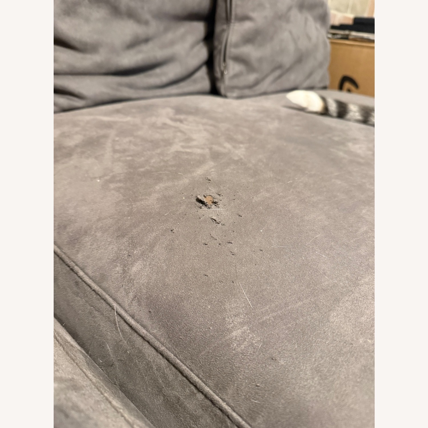 Dark Gray Fabric 3+ Piece Sectional - image-4