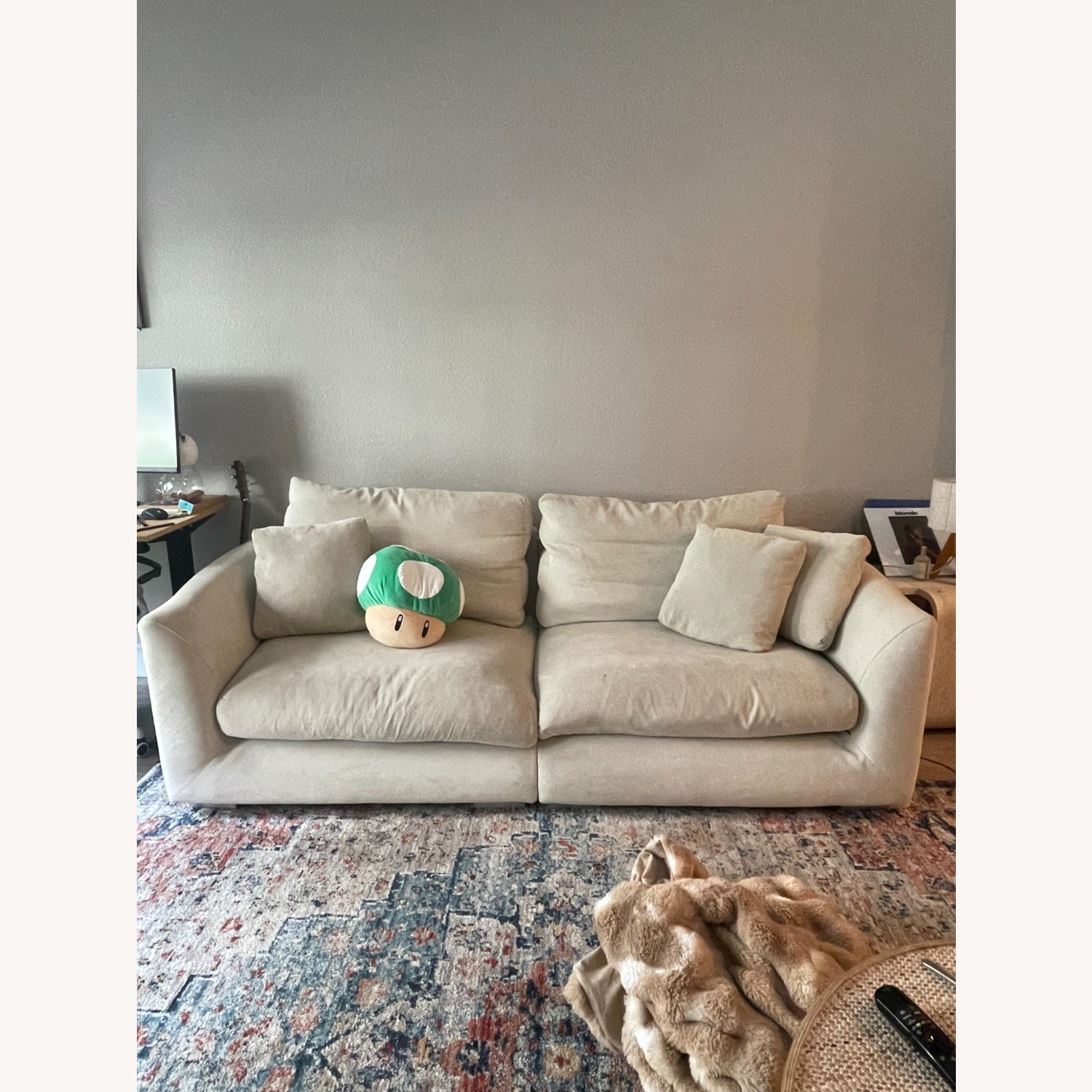 Feathers Sofa - image-3