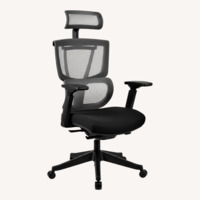 Ergonomic Office Chair