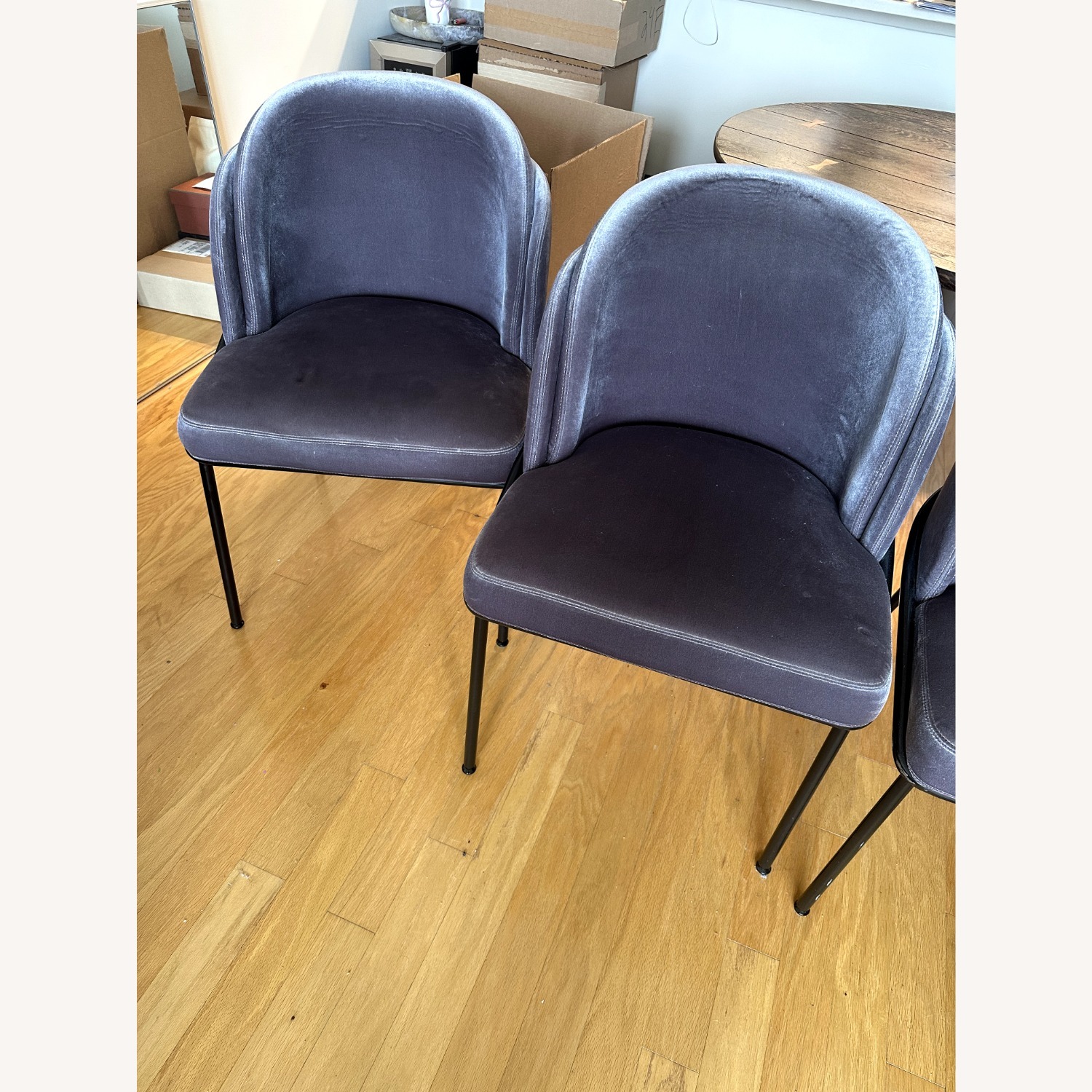 Rove Concepts Angelo Dark Gray Velvet Dining Chairs - image-6