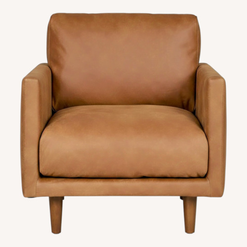 Used Article Light Brown Leather Armchair for sale on AptDeco