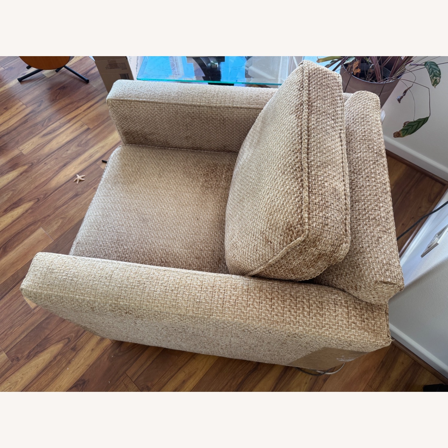 HD Buttercup Designer Lounge Chair  - image-4