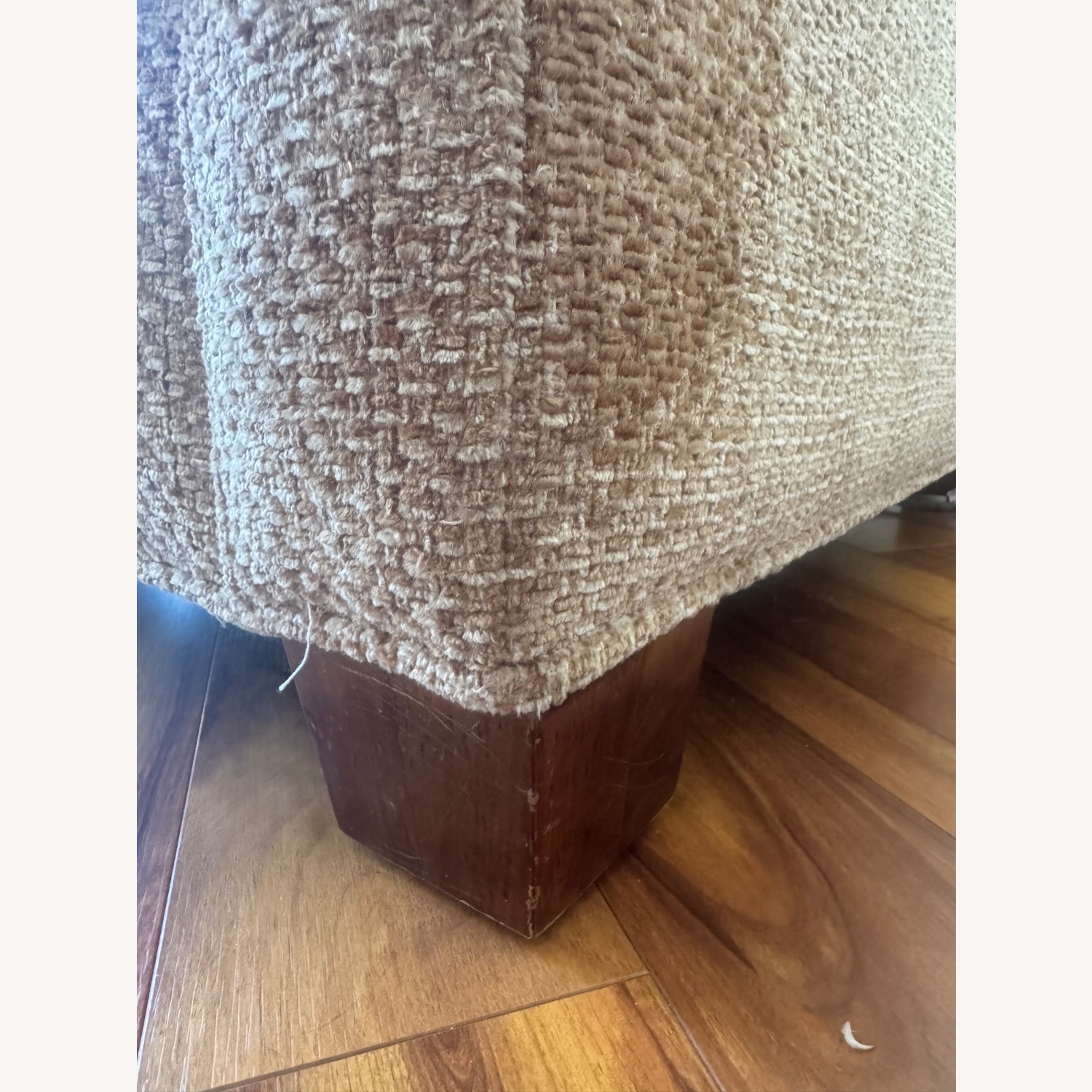 HD Buttercup Designer Lounge Chair  - image-7