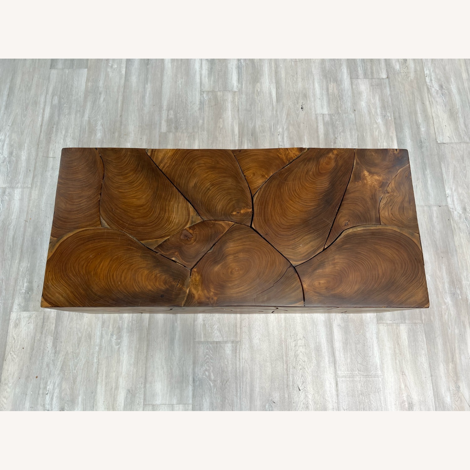 Rowena Interiors Mesa Teakwood Root Coffee Table - image-6