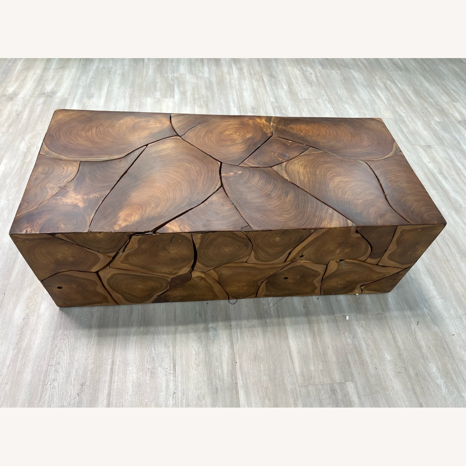 Rowena Interiors Mesa Teakwood Root Coffee Table - image-8