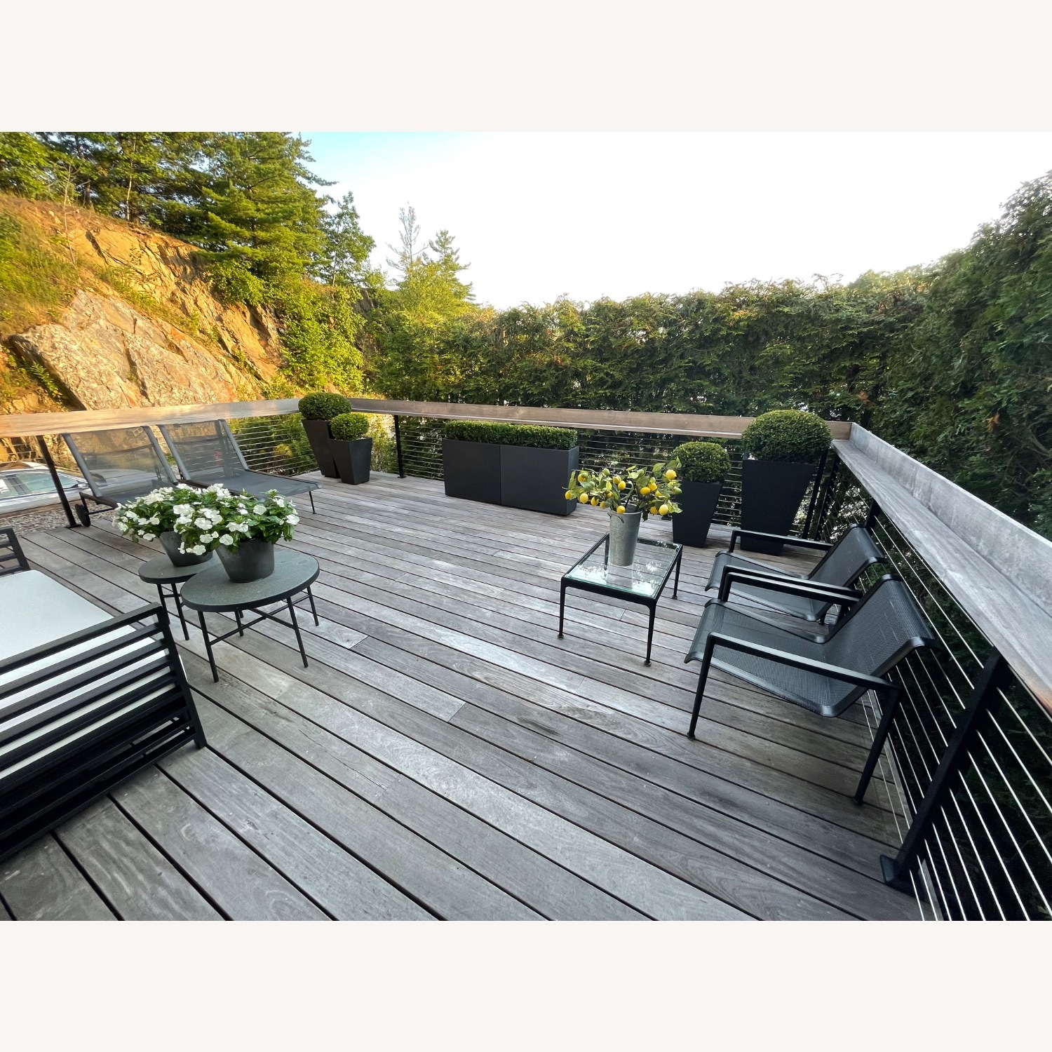 Knoll Richard Schultz 1966 Black Patio Furniture - image-4