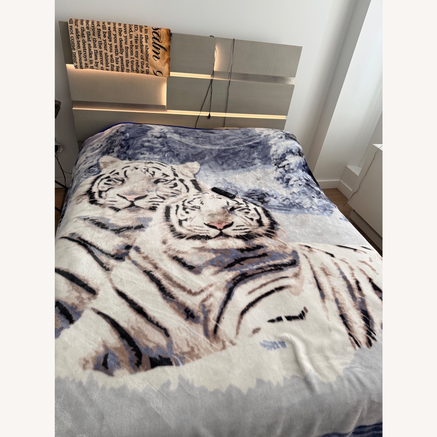 Alara Platform Bed Light Gray Wood Queen Bed - image-2