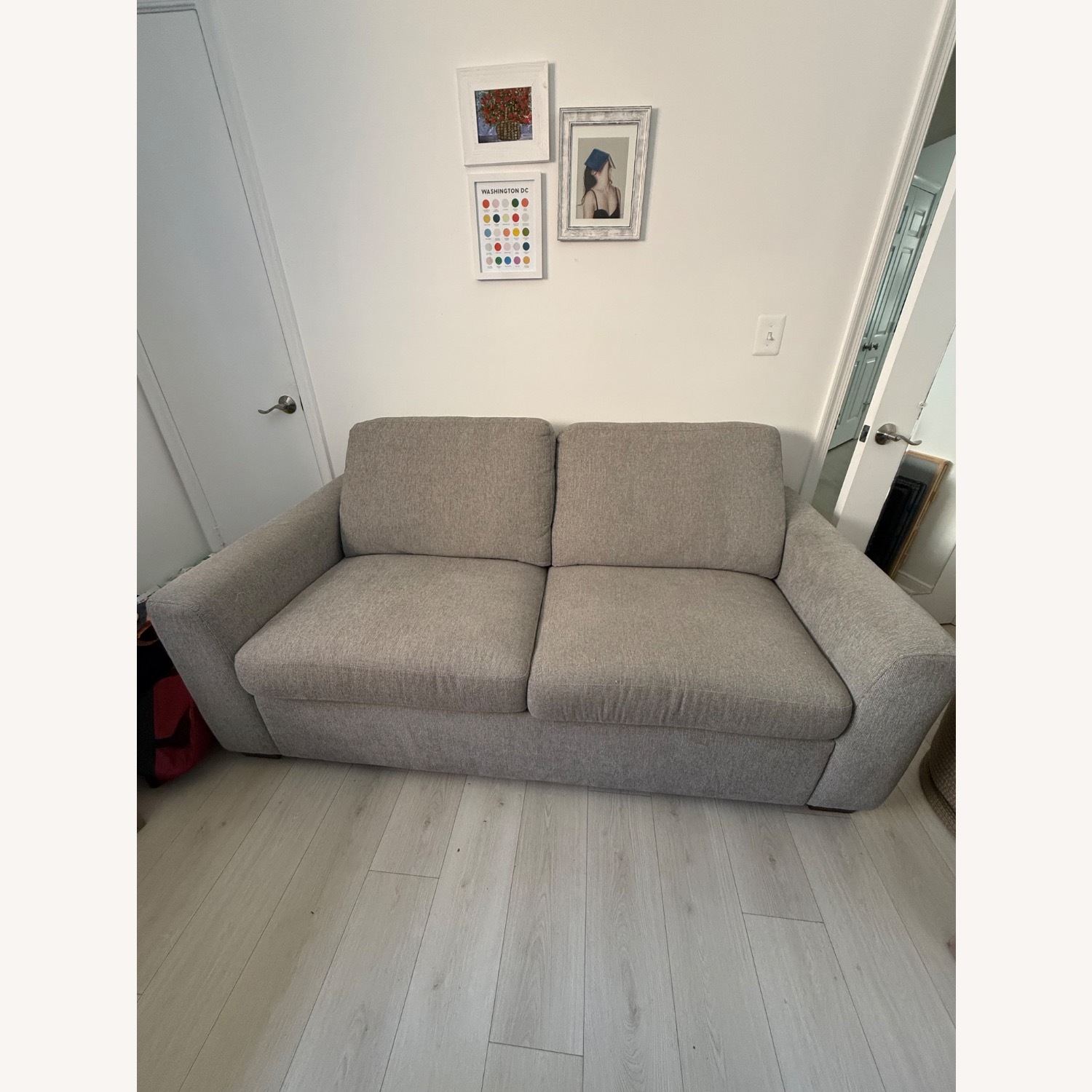 Costco Compact Memory Foam Sleeper Sofa - image-1