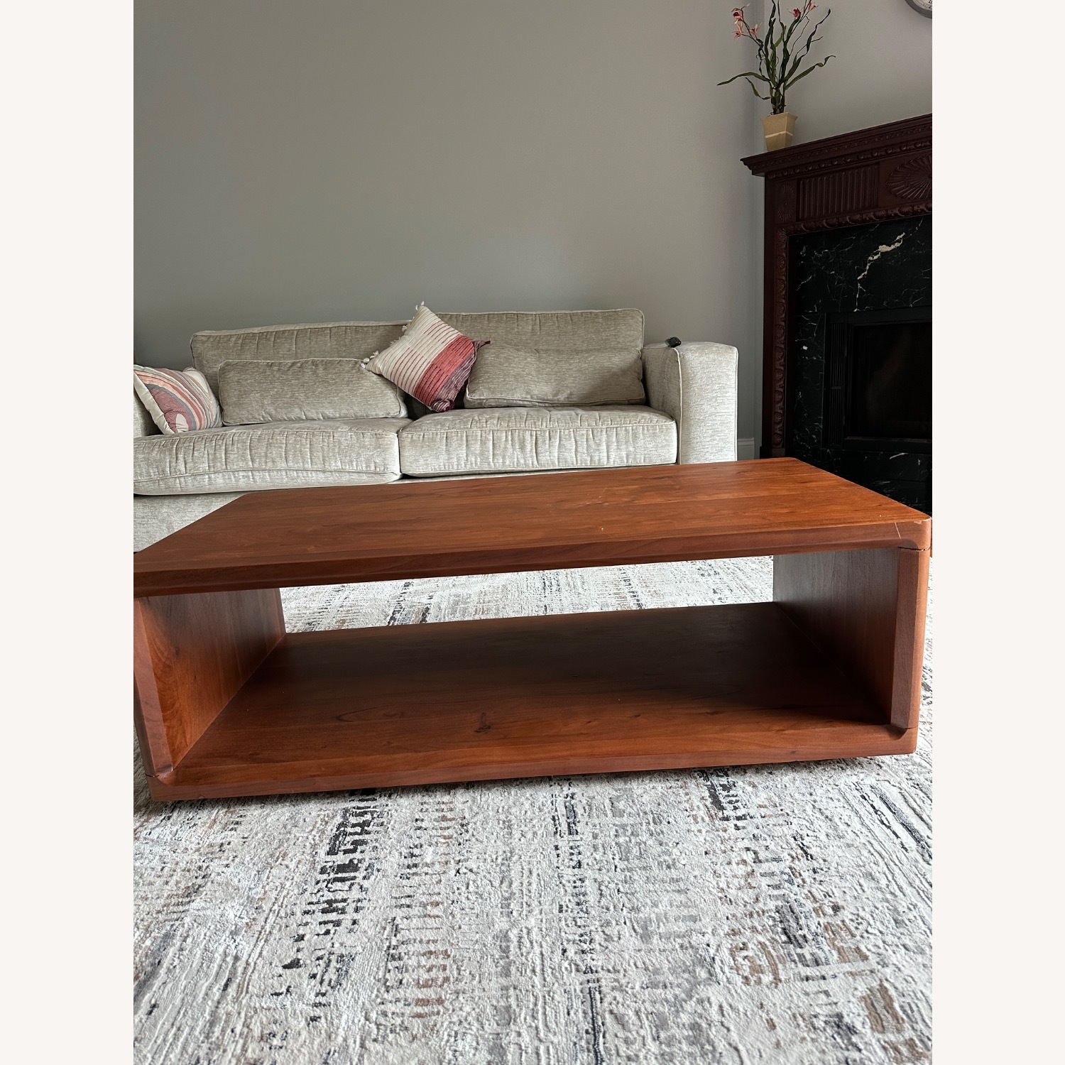 West Elm Calla Coffee Table  - image-4