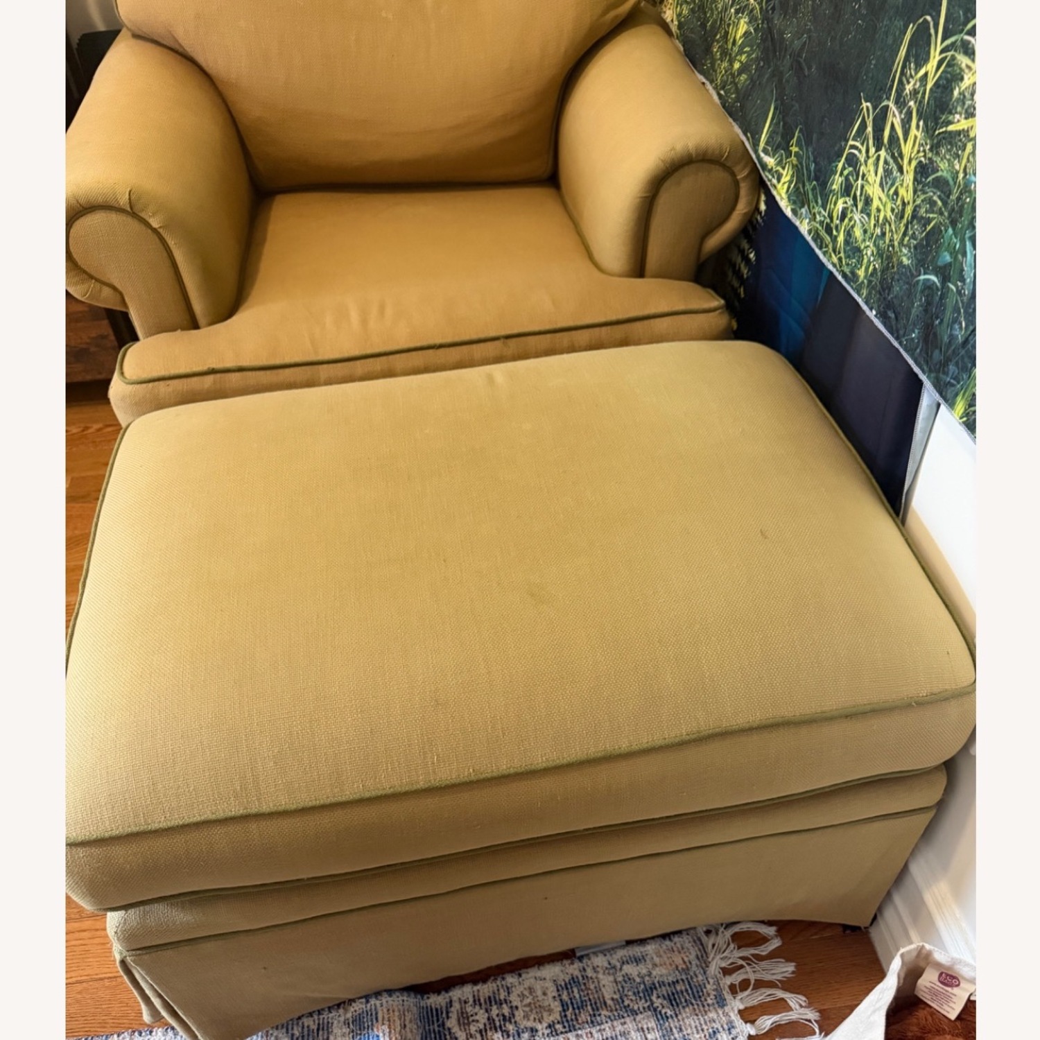 Arm Chair and Ottoman - image-1