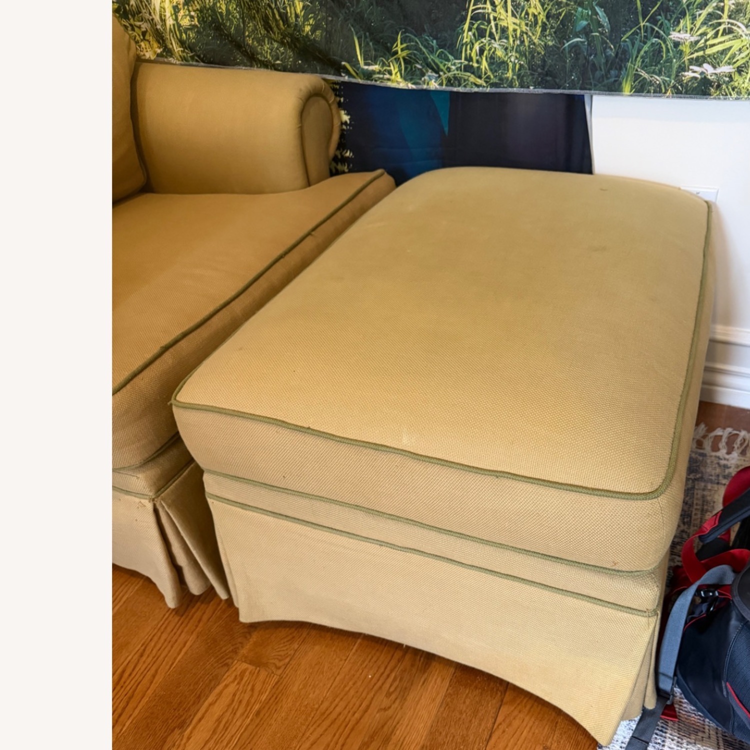 Arm Chair and Ottoman - image-3