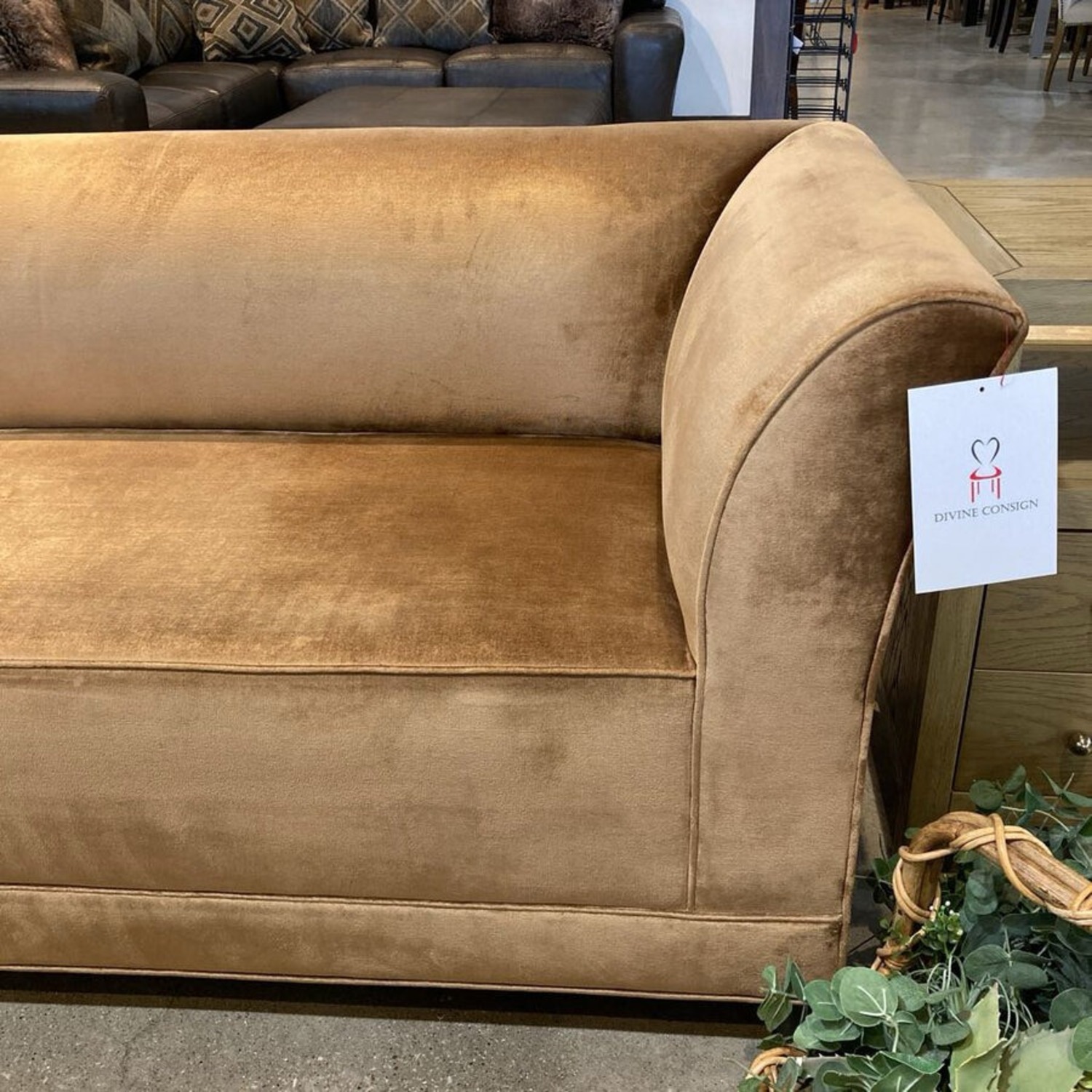 Todd Hase Sleek Regency Style Velvet Sofa Gold - image-4
